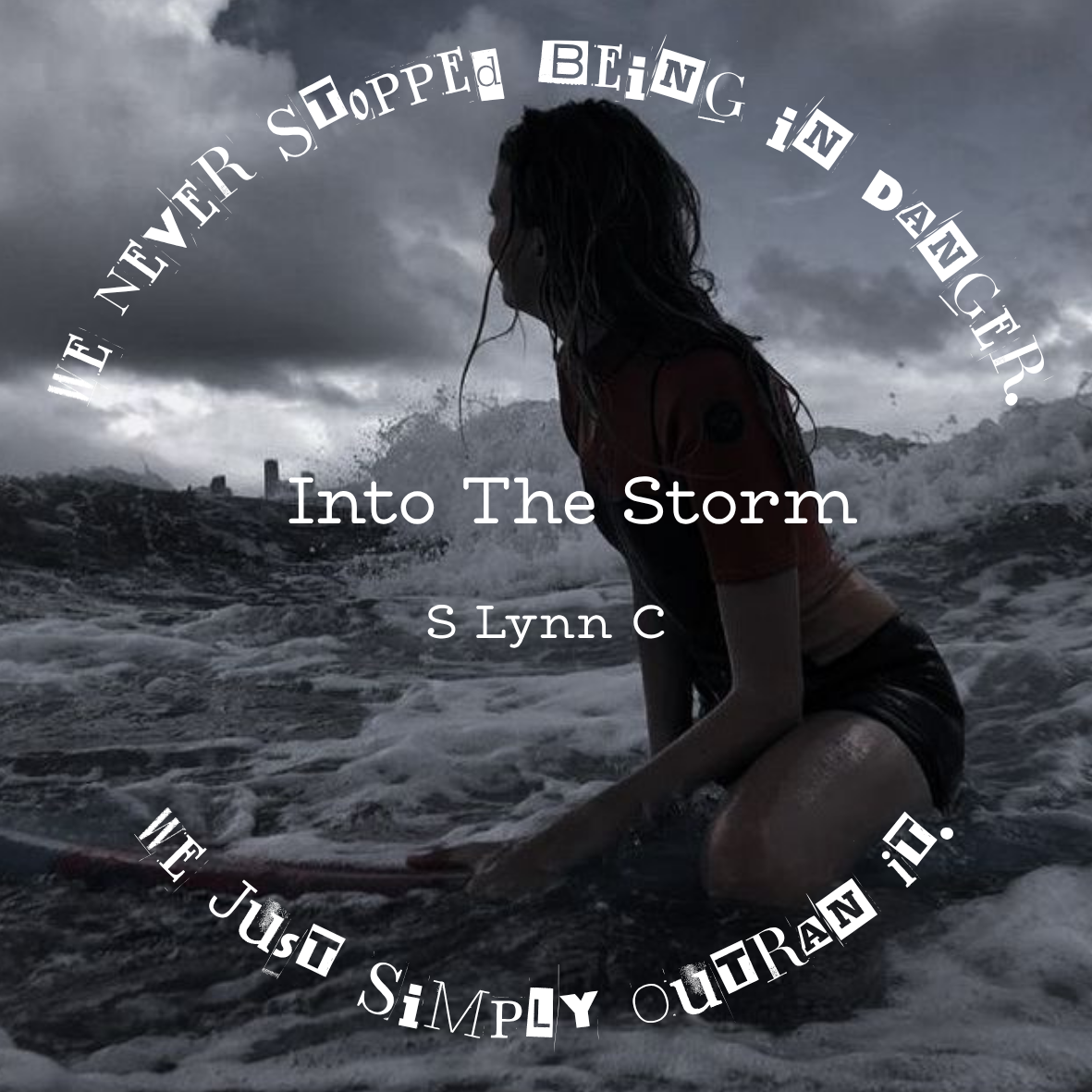 Author S. Lynn C. Book Themed Stickers